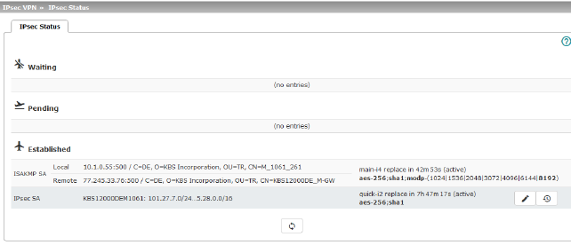 IPsec-VPN_IPsec-Status_IPsec-Status.png